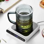 Unbreakable Glass Tea Cup with Infuser and Lid 14.5 fl oz, Heat Resistant Borosilicate Glass Tea Infuser Mug for Blooming and Loose Leaf Tea, Gas Stovetop Safe