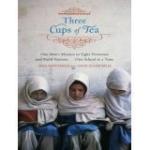 Three Cups of Tea: Peace Through Education Audiobook