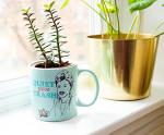 Silver Buffalo The Golden Girls Quiet You Trash Ceramic Mug, 20 Ounces