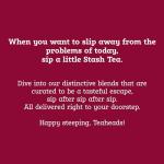 Stash Tea Fall for Autumn 6 Flavor Tea Sampler, 6 Boxes With 20 Tea Bags Each (120 Tea Bags Total)