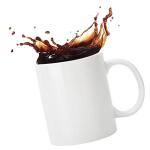 FLY SPRAY Funny Coffee Mug YOU'VE BEEN POISONED Novelty Creativity Drink Cups Unique Joke Great Gag Gift Idea For Men Women - 12 OZ Ceramic Tea Cup White