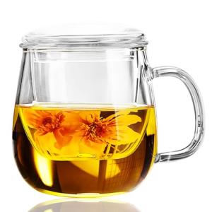 Dinana Large Tea Cup/Mug with Infuser and Lid, Borosilicate Glass Mugs for Loose Leaf Tea, Great Loose Tea-leaf Brewing System, 500ml (17oz)