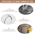 Dinana Large Tea Cup/Mug with Infuser and Lid, Borosilicate Glass Mugs for Loose Leaf Tea, Great Loose Tea-leaf Brewing System, 500ml (17oz)