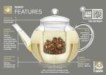 Teabloom Stovetop & Microwave Safe Glass Teapot with Removable Loose Tea Glass Infuser – Includes 2 Blooming Teas – 2-in-1 Tea Kettle and Tea Maker – Tea Purist's Choice