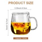 Dinana Large Tea Cup/Mug with Infuser and Lid, Borosilicate Glass Mugs for Loose Leaf Tea, Great Loose Tea-leaf Brewing System, 500ml (17oz)