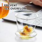 Dinana Large Tea Cup/Mug with Infuser and Lid, Borosilicate Glass Mugs for Loose Leaf Tea, Great Loose Tea-leaf Brewing System, 500ml (17oz)