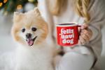 Pearhead Holiday Feliz Navidog Mug, Novelty Christmas Gift For Dog Owners, Holiday Décor for Dog Lovers, Christmas Mug, Seasonal Coffee Mug, 15 oz