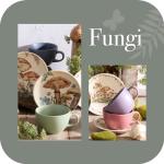 Corona Tea Cup and Saucers Set, 8-pieces (8.4oz), Ceramic Set for 4, Coffee, Latte, Tea Cups, Fungi Inspired Design, Earthy