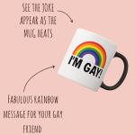 Turtle Straws I'm Gay Rainbow Heat Change Mug - Funny Rude Mug - Message Appears as it Heats - Perfect Novelty Gag Gift, best funny gifts and pride accessories