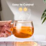 PARACITY Tea Cup with Infuser and lid, Glass Tea Cup of Heat Resistant Glass, 13oz Tea Mug, Clear Teacup for Loose Tea, Blooming Tea, Tea Bag, Tea Cup with Strainer for Family Daily