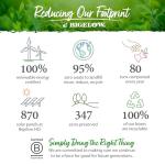 Bigelow Tea Seasonal Tea Collection, Caffeine Tea Variety Pack Gift Sampler, Holiday Tea Gift Set, 64 Count Box (Pack of 1), 64 Tea Bags Total (Packaging May Vary)