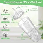 Luiaiog Glass Cups with Lids and Glass Straws, High Borosilicate 20OZ Tumblers (2Pcs) for Coffee, Tea, Juice, Smoothies, Hot/Cold Drinks at Home, Office