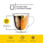 JoyJolt Serene Double Walled Insulated Glasses Coffee Mug (Set of 2) 13.5 Ounces