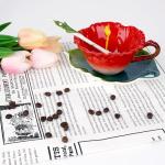 Philo Fun Hibiscus Flower Tea Cup and Saucer Set 6 Oz, Enamel Flower Porcelain Coffee Cup Saucer Set with Spoon for Women, Hand Crafted Tea Set (Hibiscus)