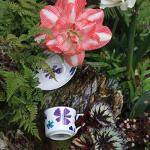 GuangYang 7oz Tea Cups set of 6, Fancy Color Flowers Design (Durable Porcelain for Hot Tea, Coffee, Latte,Small Macchiato, Cappuccino, Chocolate Drinks and Party)