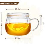 Glass Tea Cup with Infuser and Lid, 12oz