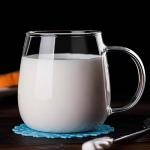 Clear Glass Coffee Mug with Handle - 16 oz