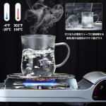 Borosilicate Glass Tea Cup with Infuser and Lid