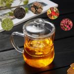 Borosilicate Glass Tea Cup with Infuser and Lid