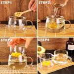 Glass Tea Cup with Infuser and Lid, 12oz