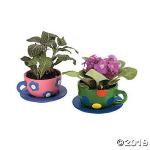 DIY Teacup Planter Set with Saucer - 6 Pack