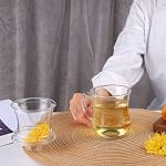 Clear Borosilicate Glass Tea Infuser Mug