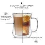 Double Wall Glass Coffee Mugs - Set of 2