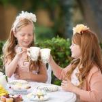 80 Pcs Vintage Floral Tea Cups and Plates Set