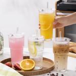 GOSCHE 20oz Clear Glass Tumblers with Straws - 2 Pack