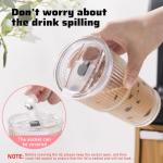 GOSCHE 20oz Clear Glass Tumblers with Straws - 2 Pack