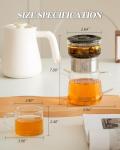ZENS Modern Glass Tea Infuser Set with Cups