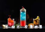 Sun's Tea Tropical Delight - Strong Double Wall Insulated Highball Tall Tom Collins Drinking Glasses for Bourbon or Whiskey or Rum Cocktail, Martini, Champagne, Beer, Mojito, Jiuce - Set of 2 (14 oz)
