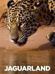 Jaguarland