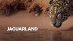 Jaguarland