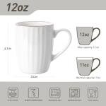 famiware Coffee Mugs Sets for 6, Eden 12 oz Mug Set, Coffee Cups with Handle for Coffee, Tea, Cocoa and Milk, Microwave and Dishwasher Safe, White Stripe