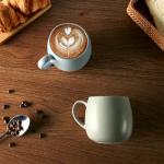 Ava Nord Ceramic Coffee Mugs Set of 6, 14oz - Modern Scandinavian Aesthetic Cup - Microwavable Stoneware Coffee Cups with Comfortable Handle - Tea Mug Set for Latte, Cappuccino, Soup - Mixed Neutrals