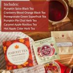 The Republic of Tea: Fall Harvest Tea Assortment Cube, 24 Tea Bags