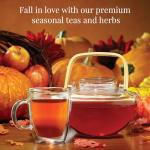 The Republic of Tea: Fall Harvest Tea Assortment Cube, 24 Tea Bags