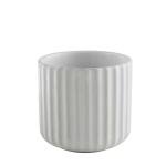 LILITURF Nordic Ceramic Mug, Japanese Tea Cup 6oz Striped Cup No Handle Drinking Cup for Latte Milk Water Beverage Juice Microwave and Dishwasher Safe, Minimalist coffee Cup-Matte White