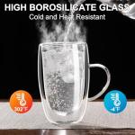 Baalaka Double Wall Glass Tea Cup With Stainless Steel Infuser and Lid, 16oz Borosilicate Glass Tea Mug, Tea Infuser for Loose Leaf Tea, Teas Gifts for Lovers