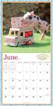 The Original Pocket Pigs Wall Calendar 2023: The Famous Teacup Pigs of Pennywell Farm