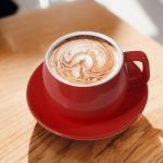 ionEgg Porcelain Coffee Cup with Saucer 270ml/9oz, Minimalist Design, Perfect for Latte, Cappuccino, and Tea, Red