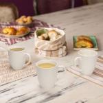 Off White Ceramic Coffee Mug Set of 6
