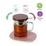 Extra Large Glass Tea Cup with Infuser