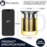 Aquach 18oz Glass Tea Cup with Infuser
