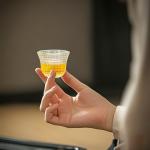 Set of 6 Mini Japanese Glass Tea Cups