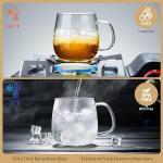 DOPUDO Large Glass Tea Mug with Infuser