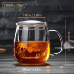 DOPUDO Large Glass Tea Mug with Infuser