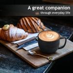 MIAMIO Oasis Collection - Set of 4 Coffee Mugs