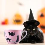 Halloween Black Cat Coffee Mug - 20 oz